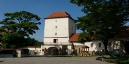 Slezsko-ostravský hrad